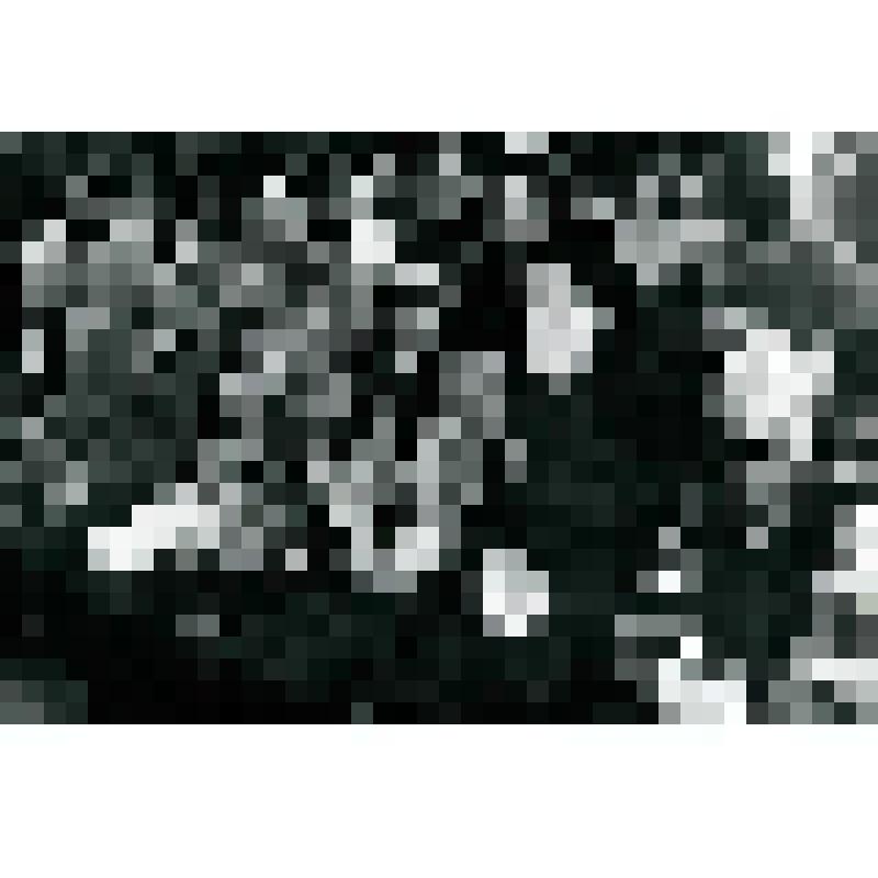 Фотография черно-белая. День работника сельского хозяйства