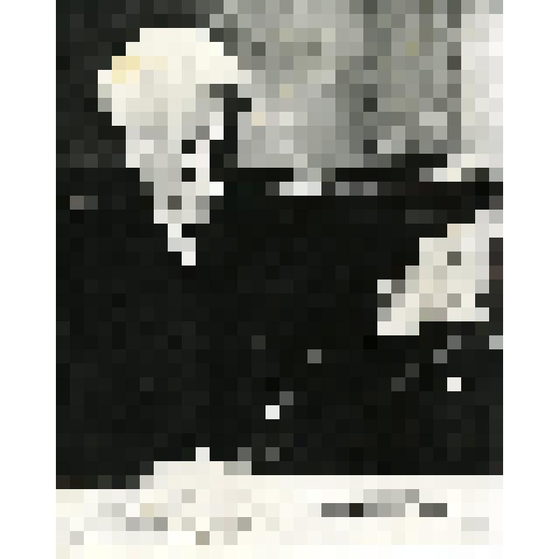 Портрет народного артиста СССР А.Б. Гольденвейзера с тетрадью для нот. Фотография