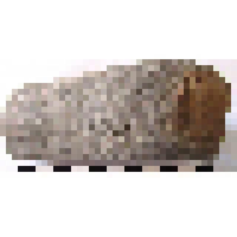 Клеймо на ручке синопской амфоры