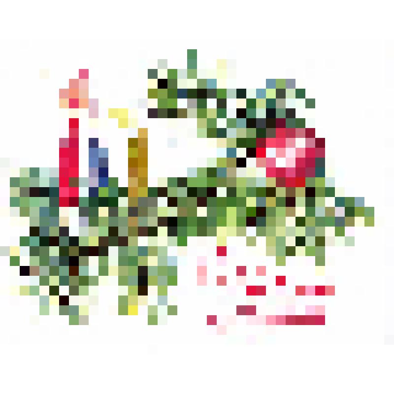 Открытка новогодняя «С Новым Годом!» (елочная ветка с шаром и свечками)