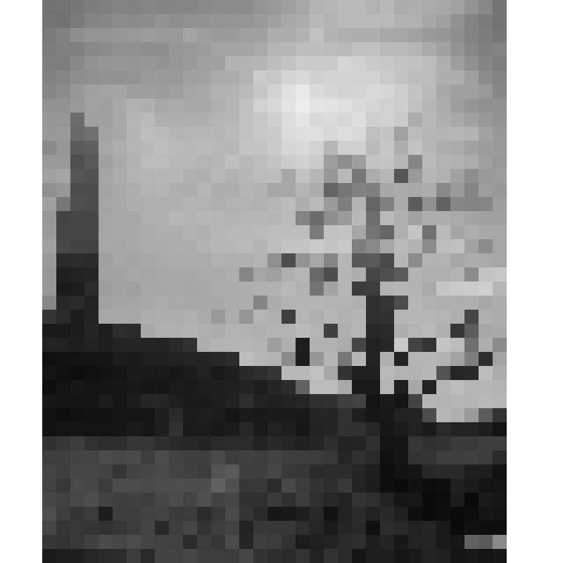 Серия фотографий с авторской фотовыставки "Мой взгляд". Фото цв. Свидетель войны