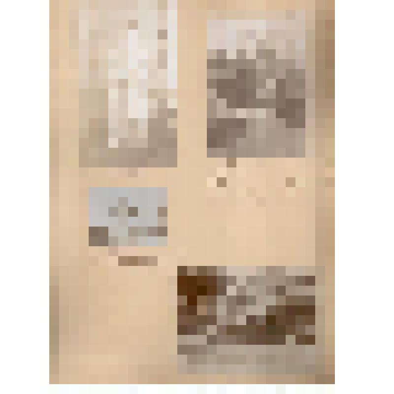 Лист с фотографиями. Виллуан В.Ю. и его окружение