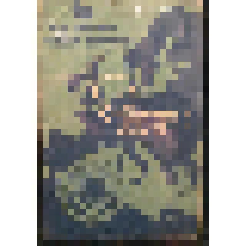 Книга. Европа - слева! Путевые заметки