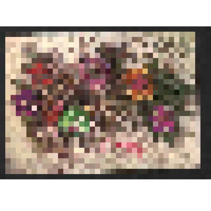 Поздравление семьи Захаровых Богомоловой З.А. с наступающим 1988 годом