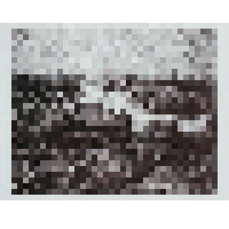 «Вечер на реке Вытегре». 1966