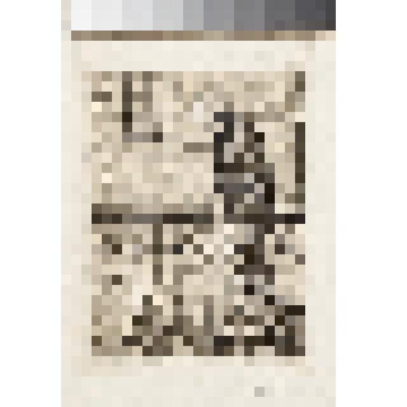 Товарищ детских забав, гравюра