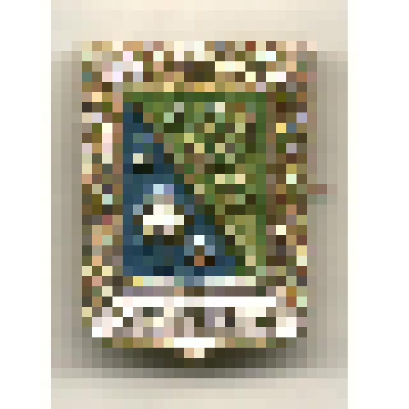 Значок нагрудный с изображением герба г.Ургенча. Из коллекции по теме "Геральдика". В форме французского щита. Крепление булавочное