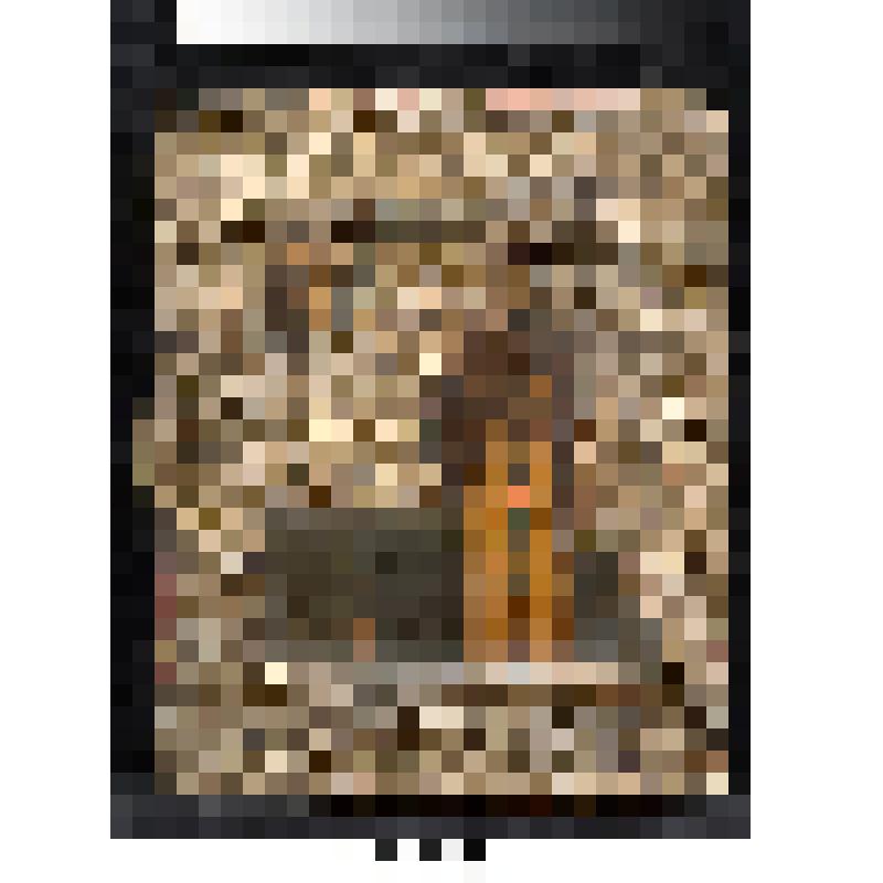 Икона. Преп. Ефросиния