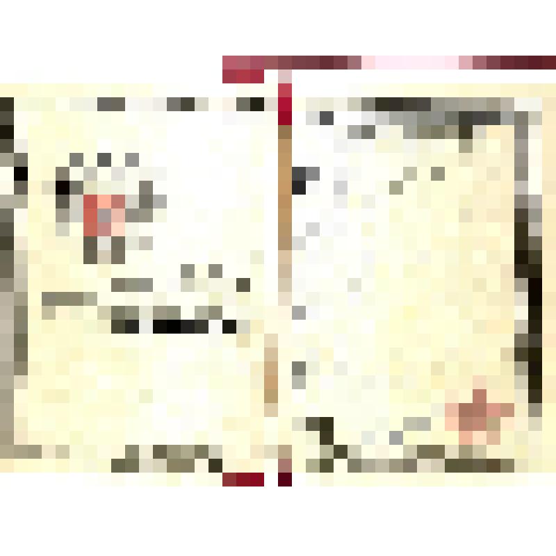 Приветственный адрес Президенту - Главе Правительства Республики Тыва  от министра промышленности, науки и технологий РФ А.Дондукова