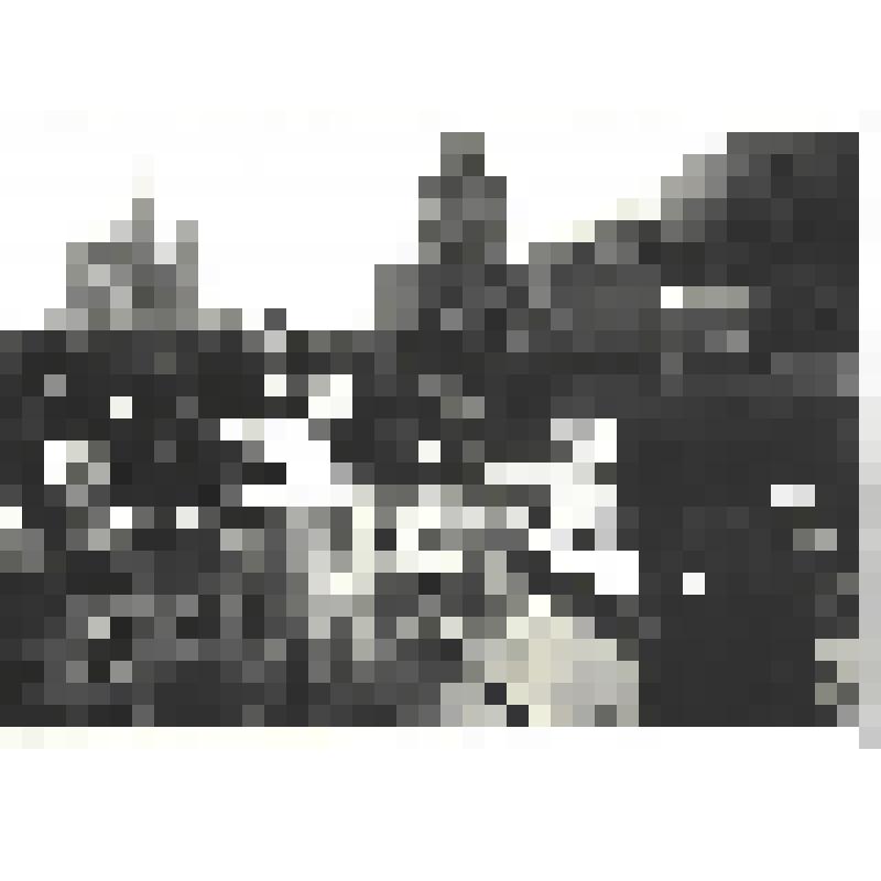 Фотографии. Фото ч/б. Парад Победы на Красной площади в Москве, июнь 1945 г