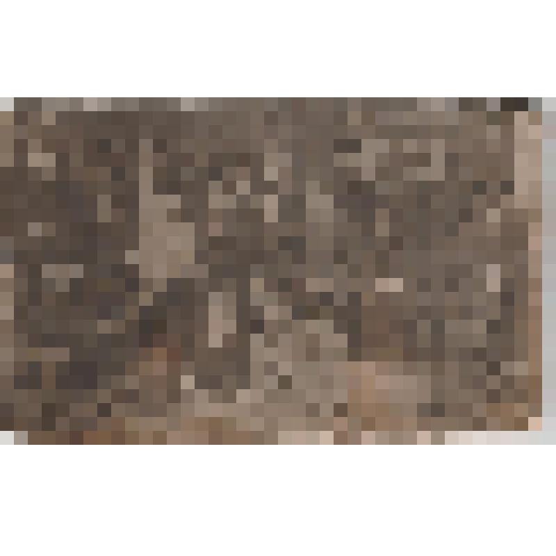 Фотография. Комсомольцы - делегаты конференции от Пятовской волости. Во втором ряду сидят- секретарь партийной организации Волисполкома товарищ Авдеев, секретарь комсомольского  комитета Ольга Акиньхова