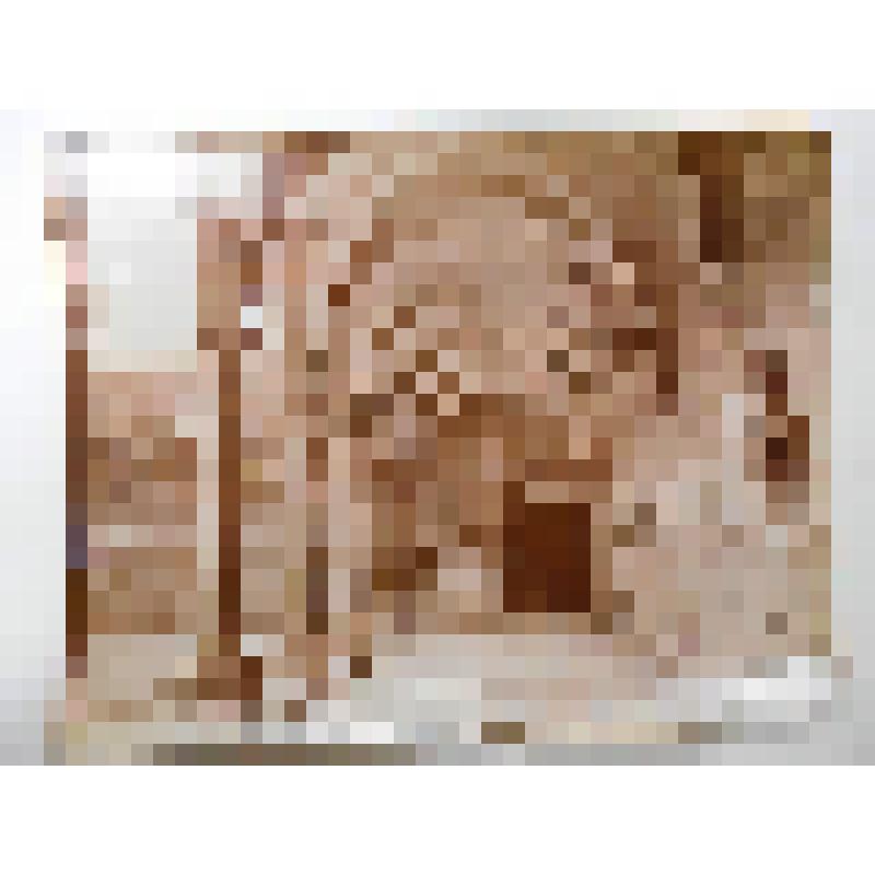 Церковь Сантиссима-Аннунциата. 1250 г., 1444-81 гг. Италия, г. Флоренция. Церковь Сантиссима-Аннунциата. 1250 г., 1444-81 гг. Фрагмент арочной галереи "Монастырь обетов". Изд. Алинари