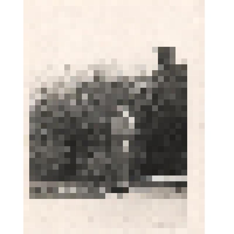 Фотография черно-белая. Санитарка санатория «Ливадия» Ткачева Ефросиния Михайловна на фоне кустарников