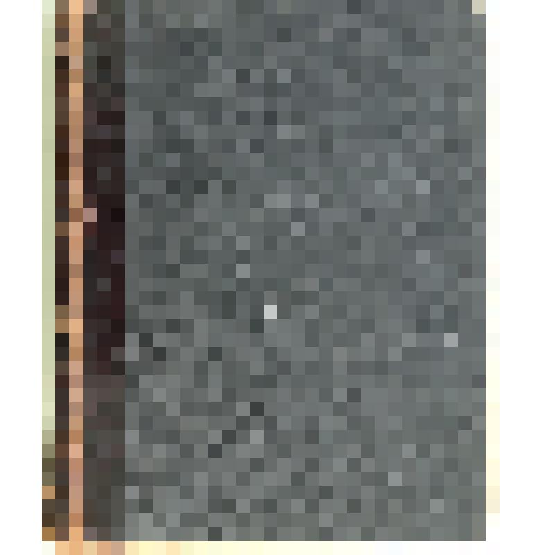 Книга. «Государственная Дума. Стенографические отчёты. 1906 год» Сессия первая. том II  Заседания 19 – 38 (с 1 июня по 4 июля)  С.-Петербург, 1906 г.
С.-Петербург. Государственная типография. 1906.   2013 с