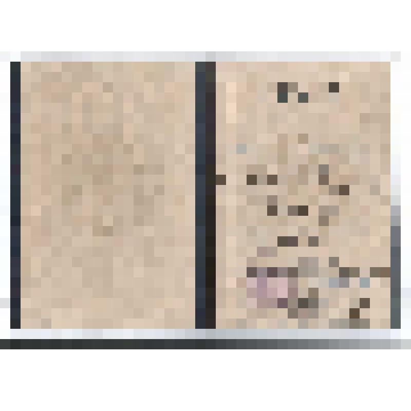 Диплом Б № 077878 Будылиной В.А. об окончании ГГМИ им. С.М. Кирова