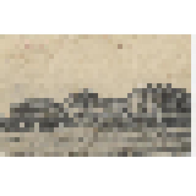 Открытое письмо «Г. Царицын н/В.  Тюрьма»