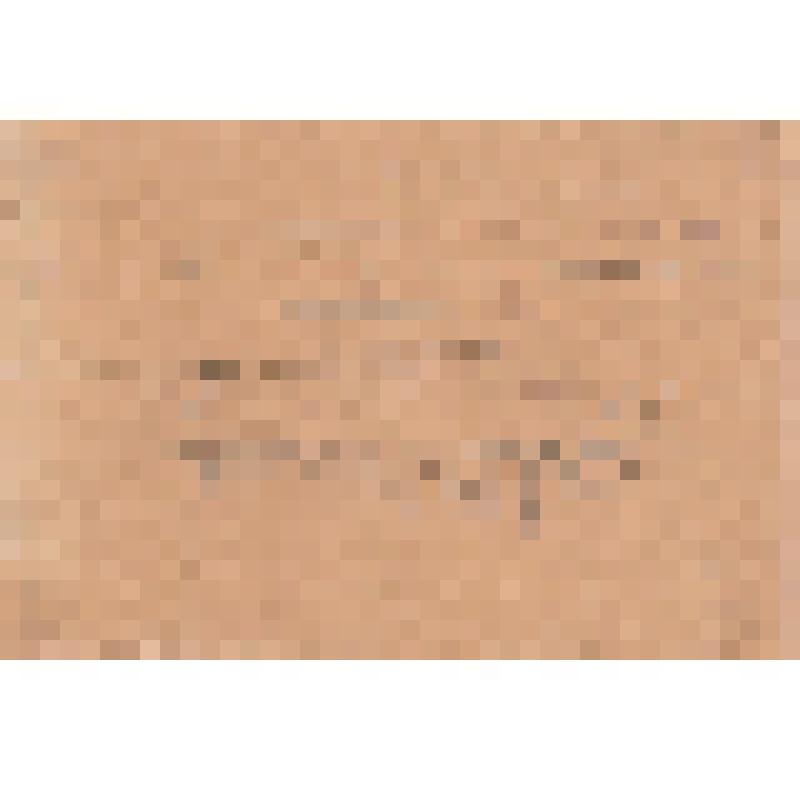 Предписание командировочное №148 от 25.07.1942г. политотдела 51-й Армии тов. Шоломзину Якову Марковичу, батальонному комиссару