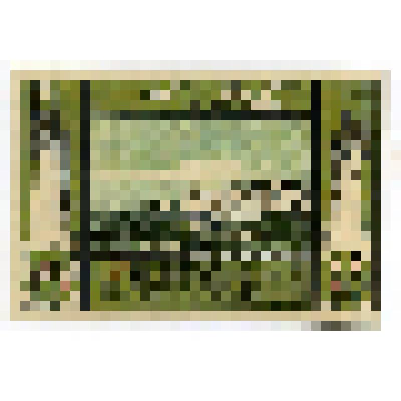 Бумажный денежный знак. Нотгельд коммуны Зеллин. Пароход, маяк. 75 пфеннигов. Германия (Веймарская республика)