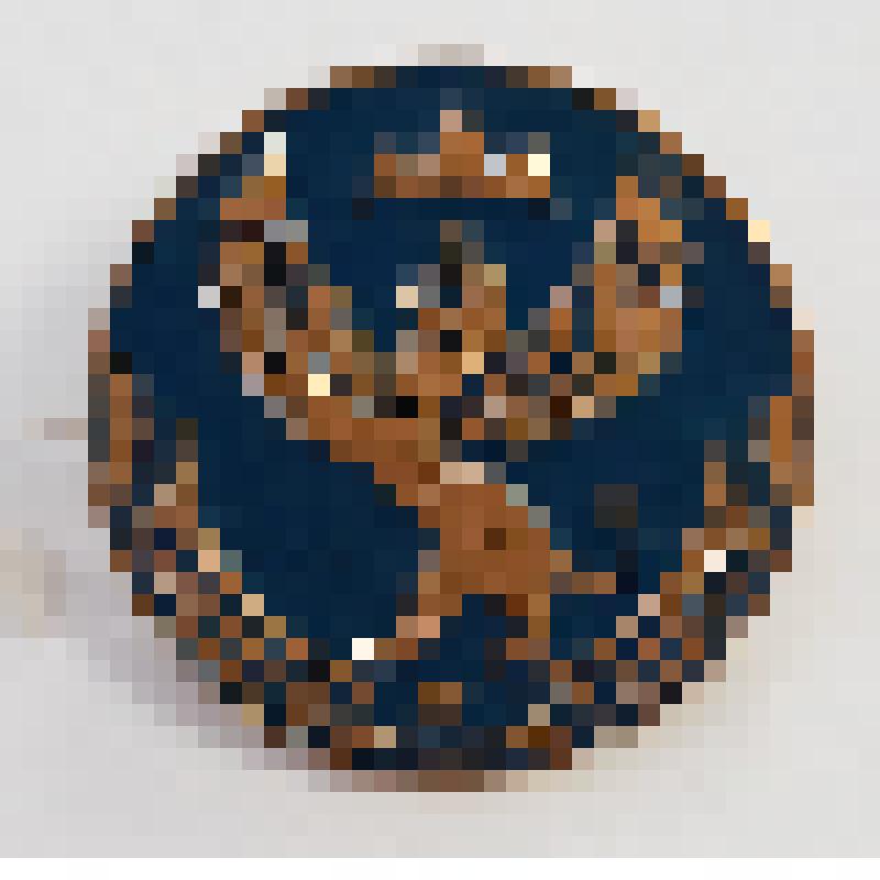 Знак «Герб Республики Алтай»