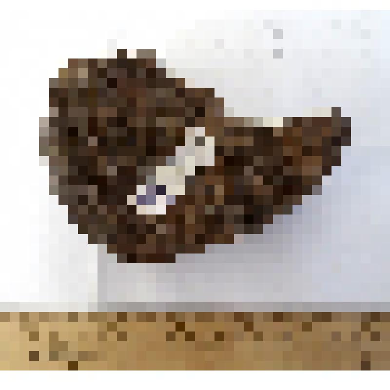 Обломок правой коленной чашечки patella dex таманского слона Archidiskodon meridionalis tamanensis