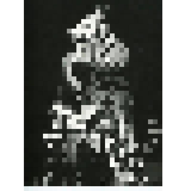 Фотография. Сцена. "Кошкин дом" (пост. С. Яшин, худ. Э.П. Змойро). Москва, Центральный детский театр