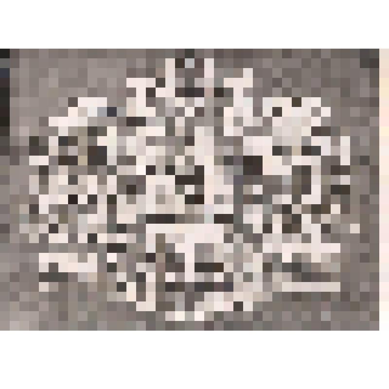 Фотография Сурский техникум молочной промышленности выпуск 27-й 1962 год