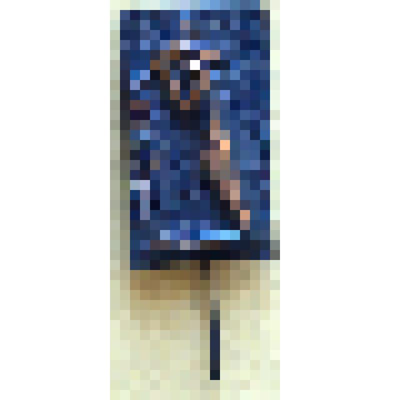 Значок. Саласпилс