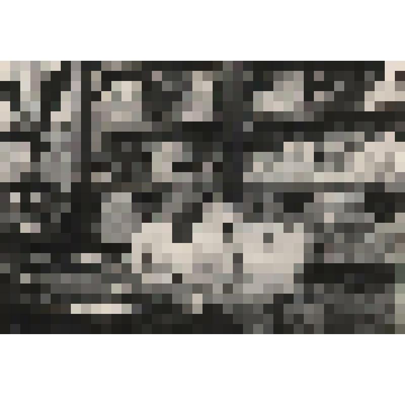 Фотография. Интерьер магазина "Каменный" по улице Ленина