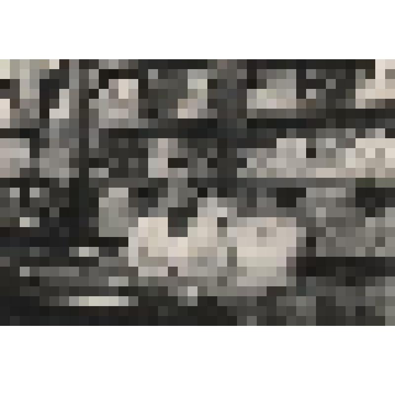 Фотография. Интерьер магазина "Каменный" по улице Ленина