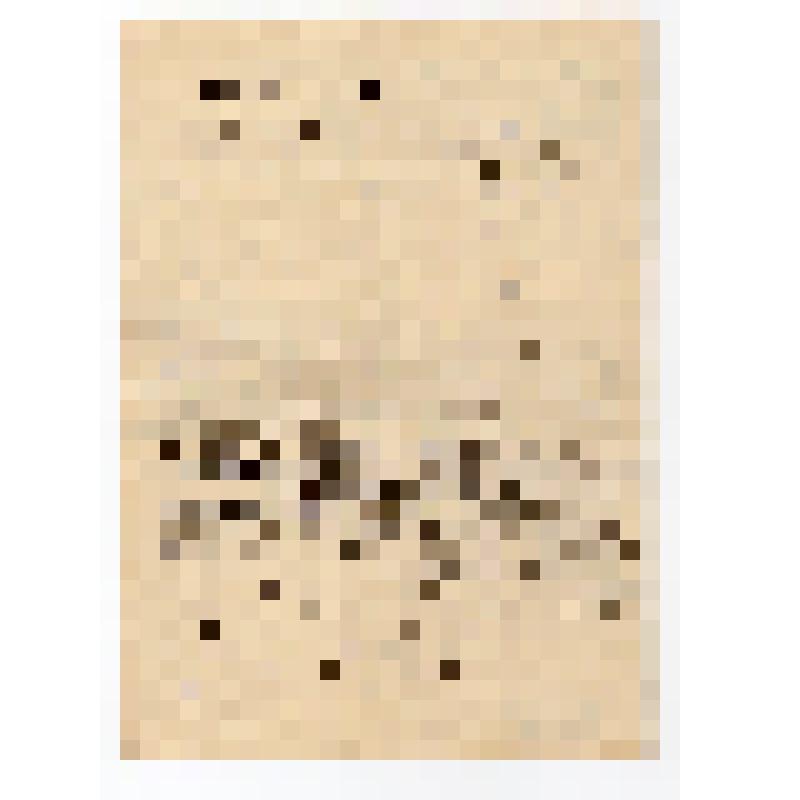 Автобиография Пятышева Романа Валентиновича - инженера «Дирижаблестроя»