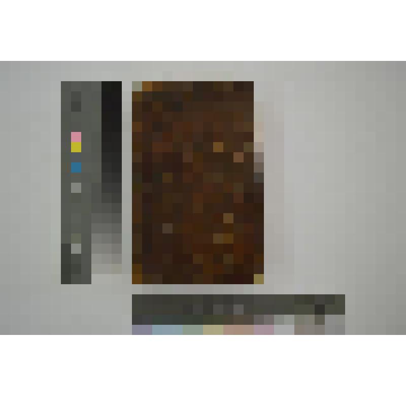 Книга. Новейший всеобщий и полный секретарь, содержащий новое, полное и основательное наставление, как сочинять всякого рода письма, с приобщением многих лучших примеров, и состоящий в четырех частях. Часть 1, 2, заключающая в себе письма важного и любопы