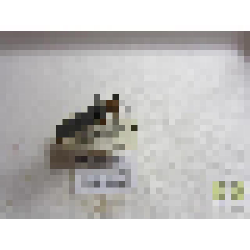 Прутоед глазчатый (Oberea oculata L.)