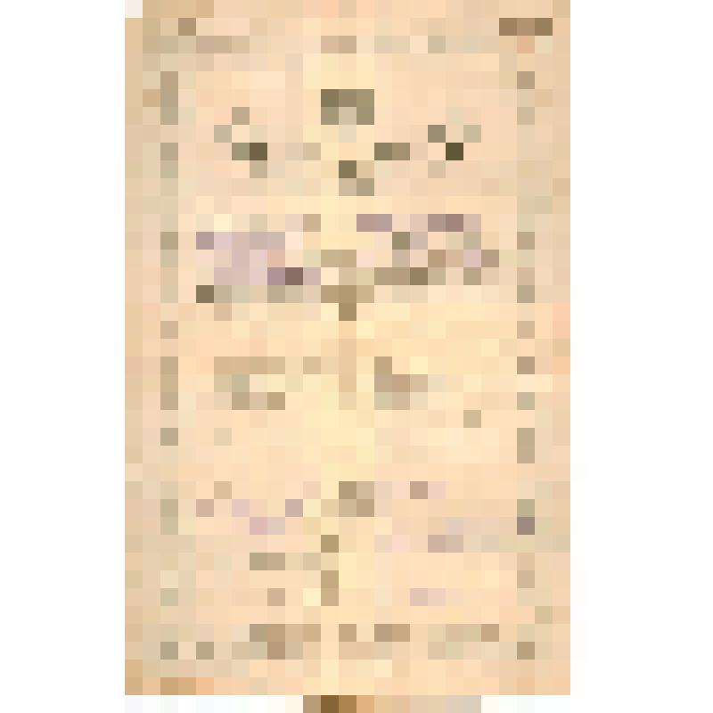 Документ. Свидетельство № 297 Чечуго Марии Феодосиевны об окончании Ялуторовской советской трудовой школы II-й ступени. Уральская обл., Тюменский округ, г. Ялуторовск. 1927 г., июнь, 15