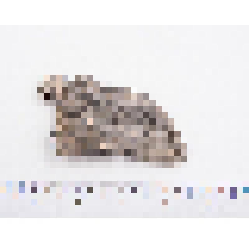 Браслет створчатый