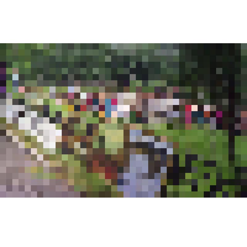 Негатив «Празднование 40-летия города Амурска. 27-28.06.1998 г.»