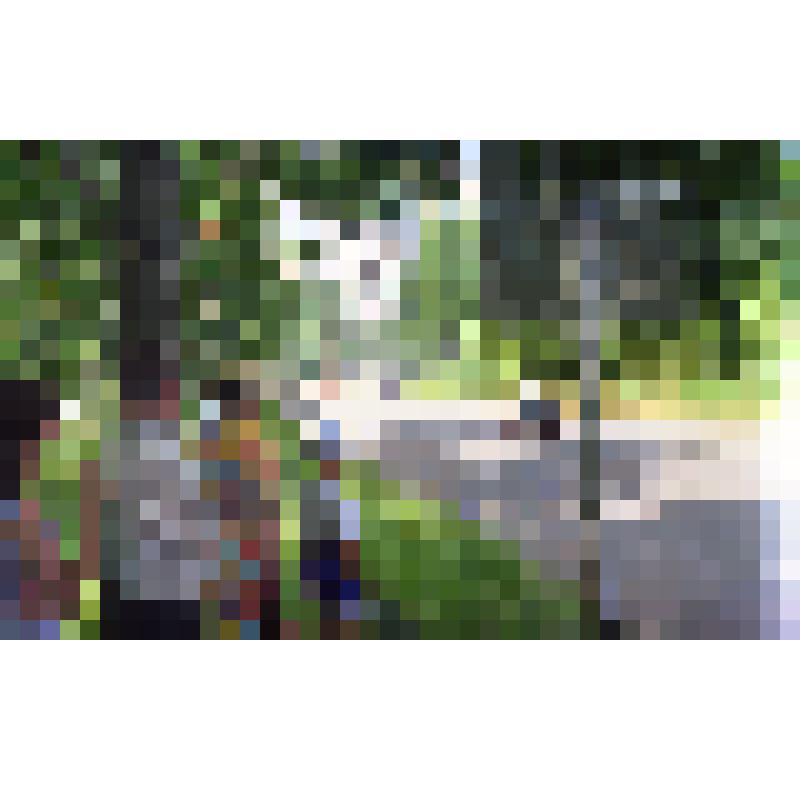 Негатив «Празднование 40-летия города Амурска. 27-28.06.1998 г.»