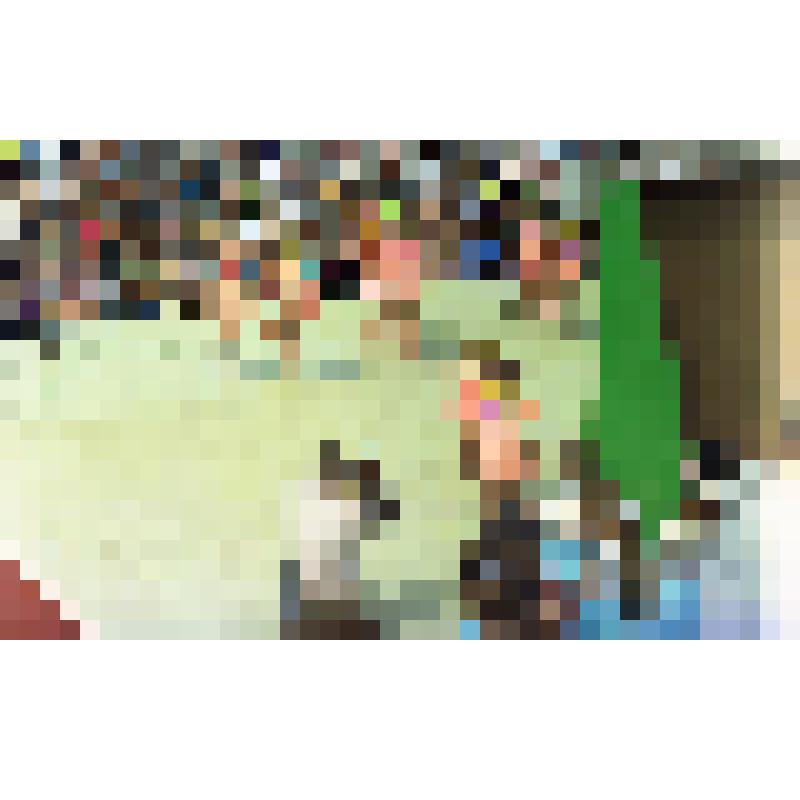 Негатив «Празднование 40-летия города Амурска. 27-28.06.1998 г.»