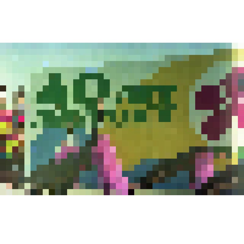 Негатив «Празднование 40-летия города Амурска. 27-28.06.1998 г.»