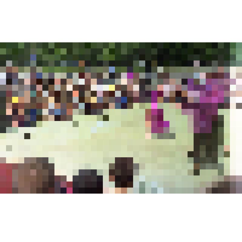 Негатив «Празднование 40-летия города Амурска. 27-28.06.1998 г.»