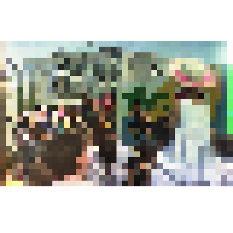 Негатив «Празднование 40-летия города Амурска. 27-28.06.1998 г.»