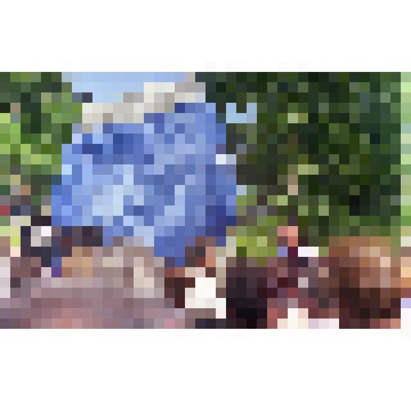 Негатив «Празднование 40-летия города Амурска. 27-28.06.1998 г.»