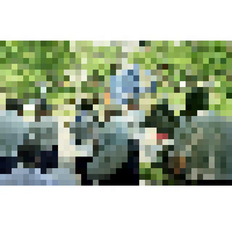 Негатив «Празднование 40-летия города Амурска. 27-28.06.1998 г.»