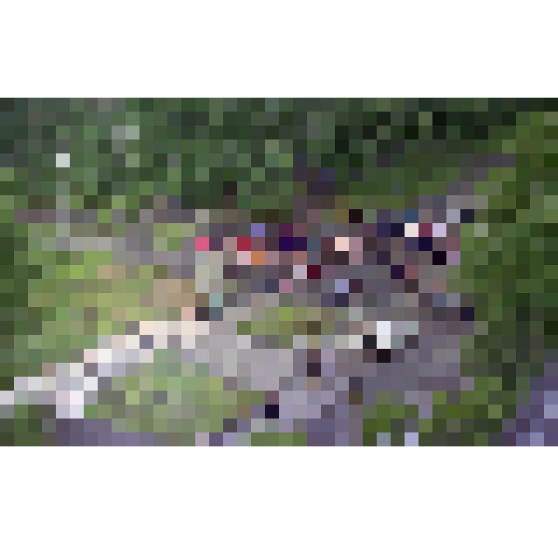 Негатив «Празднование 40-летия города Амурска. 27-28.06.1998 г.»