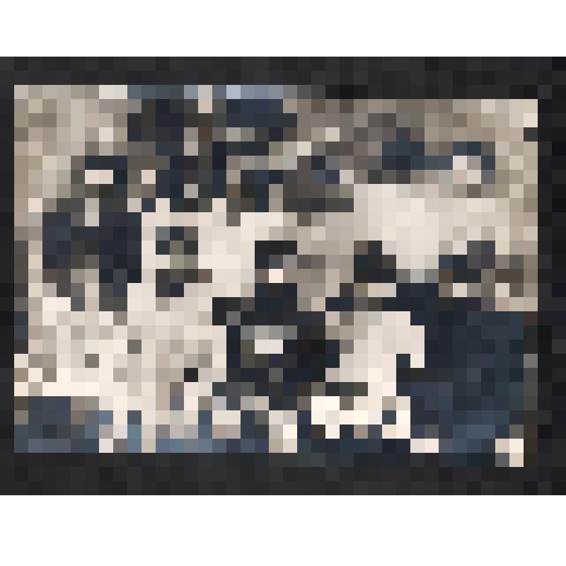 Фотография. Группа лиц - участников революционных событий на Ставрополье