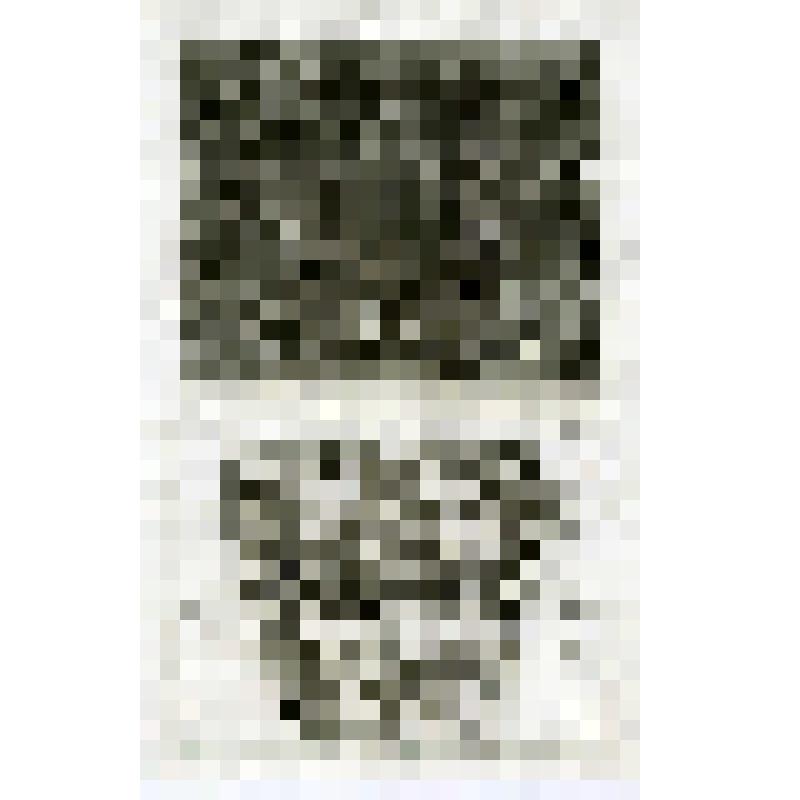 Офорт. Лист 103. Пир Артаксеркса. Царь простирает к Есфирь свой скипетр. Царское благоволение к Мардохею (Есф. 5, 6)