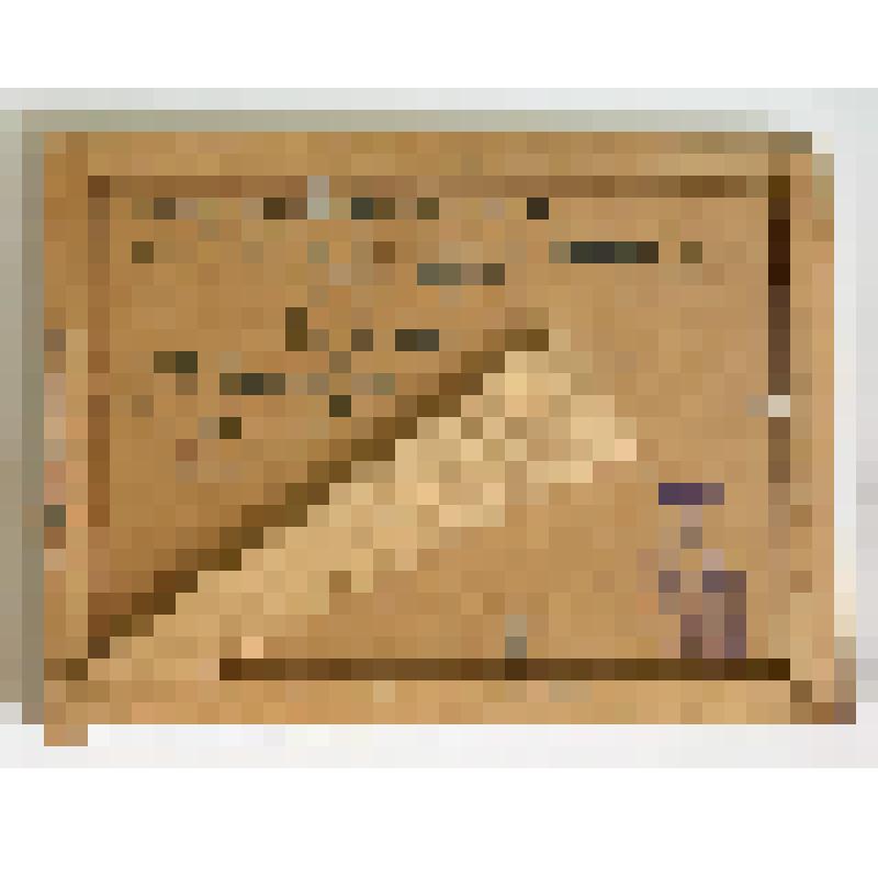 Миниатюра "Весенняя охота" (охота на джейранов)