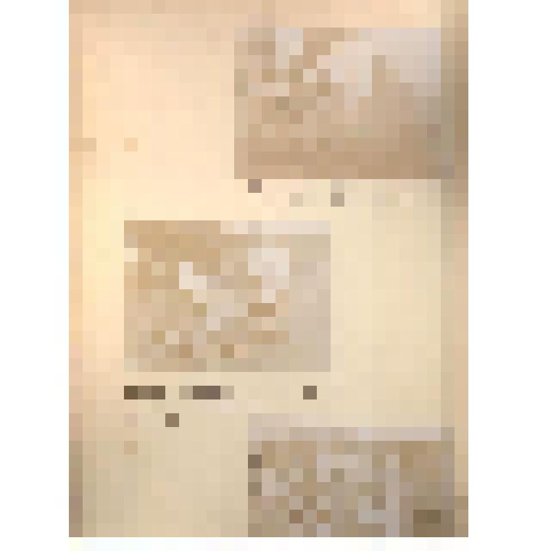 Лист с фотографиями. Виллуан В.Ю. и его окружение