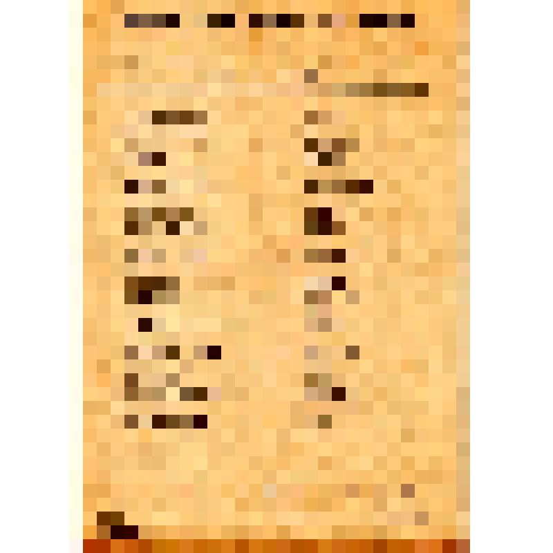 Сухов, Минаев и др., кандидаты в члены ревизионной комиссии. Кандидаты в члены правления союза портных. Товарищи, "члены союза, желающие избрать в члены правления или ревизионной комиссии того или другого кандидата, ставят против его фамилии крест (+):"