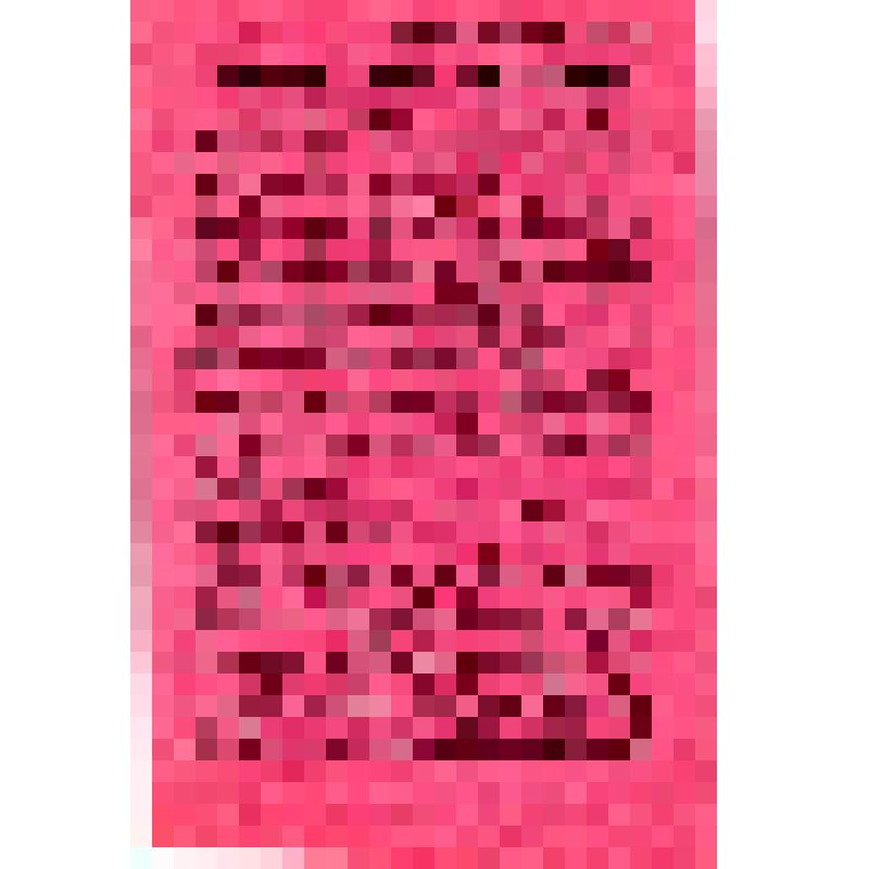 Издание ГлавПУРККА. /Боец Красной Армии/ (на груз. яз.)