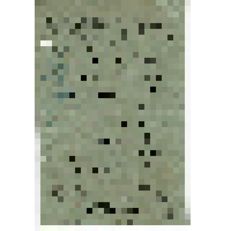 Записка Невского В.А. и Литкенса о передаче госуд. детского театра в ведение Главного Управления соц. воспитания и политического образования детей республики